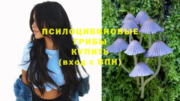 бутират Сосновый Бор