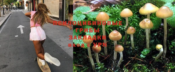 сатива Сосновоборск