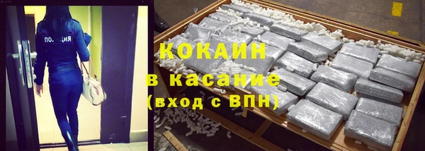сатива Сосновоборск