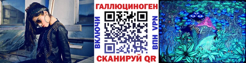 Купить  Свирск  Галлюциногенные грибы GOLDEN TEACHER 