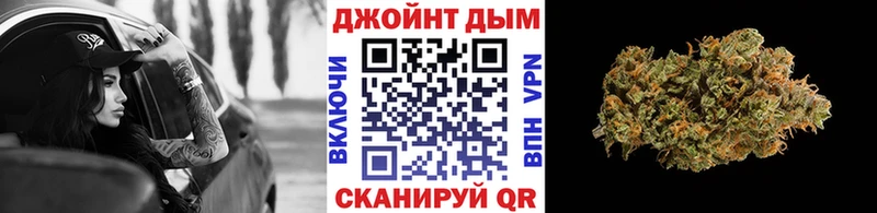 Купить где Свирск Каннабис планчик